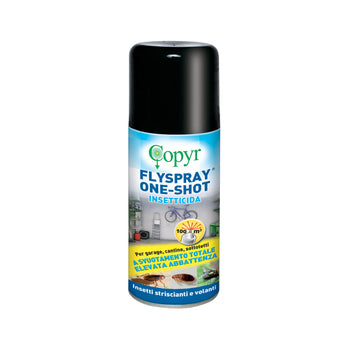 Insektizid gegen Kakerlaken, Ameisen und Mücken Copyr Flyspray One Shot 150 ml