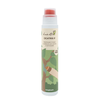 Mastice per innesti e ferite delle piante con rame Newpharm Cicatrix P 250 ml