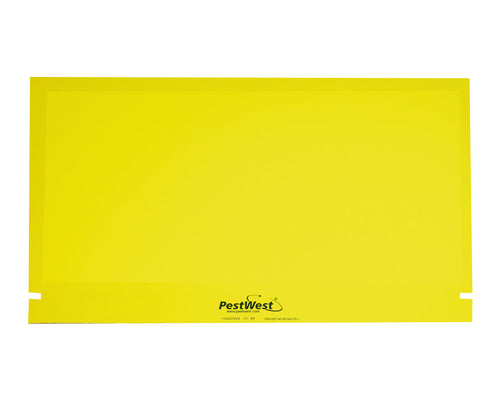 Piastre collanti Pestwest per lampada UV Fly Detect 6 pezzi