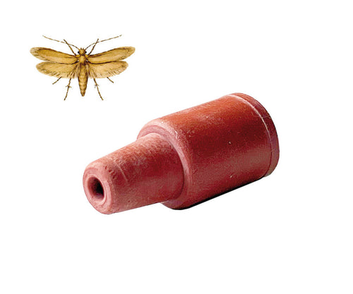 Feromone di ricambio per tarma dei tessuti Tineola bisselliella WCM 1 pezzo