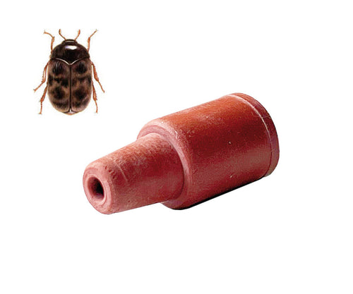 Feromoni per Trogoderma KB/WB Lures 25 pezzi