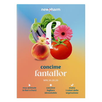 Concime idrosolubile universale 20-20-20 Newpharm Fantaflor 1 kg