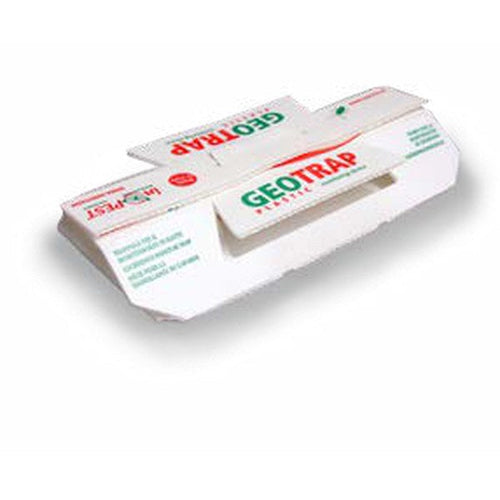 Trappola collante per monitoraggio di insetti striscianti Orma Geotrap in plastica