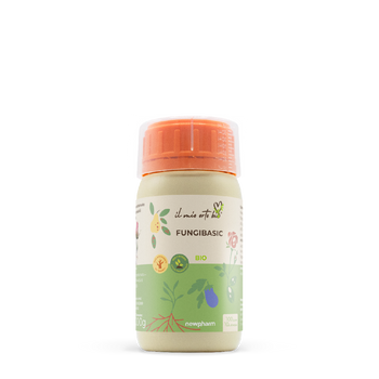Fungicida a base di bicarbonato di sodio Newpharm Fungibasic 1 kg