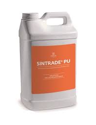 Insektizid gegen Holzwürmer und verschiedene Insekten India Sintrade PU 10 Liter