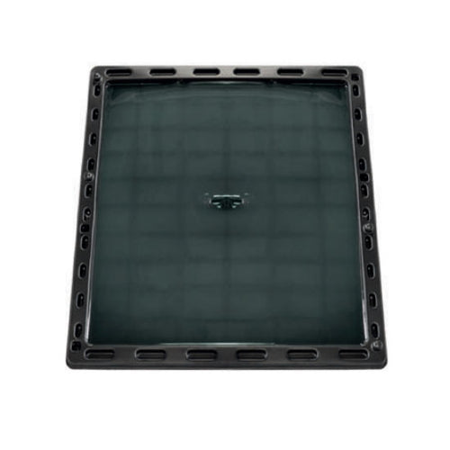 Vaschetta collante per ratti Bleu Line Jumbo Rat Glue Tray