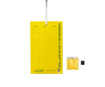 OLIVENFLIEGENFALLE BACTROCERA OLEAE