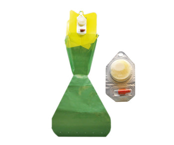 Falle für den japanischen Käfer Popillia Japonica