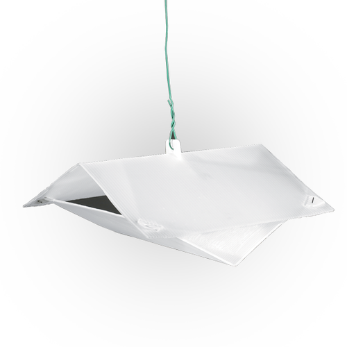 Kit trappola per lepidotteri delle derrate con 5 trappole e 15 fondi collanti Bleu Line Toto Trap