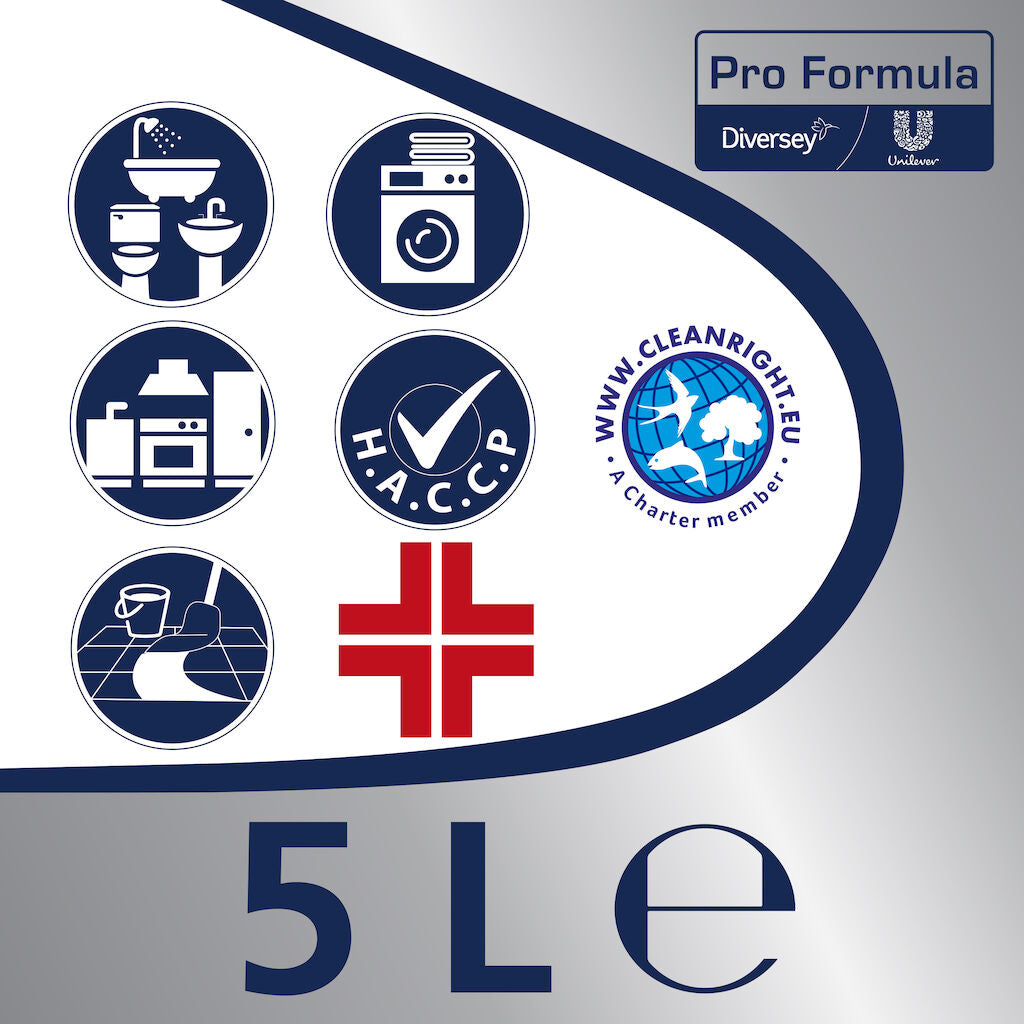 Detergente candeggina Diversey Lysoform Candeggina 5 litri