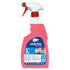 Sgrassatore per superfici in acciaio Sanitec S6 Inox 6x750 ml