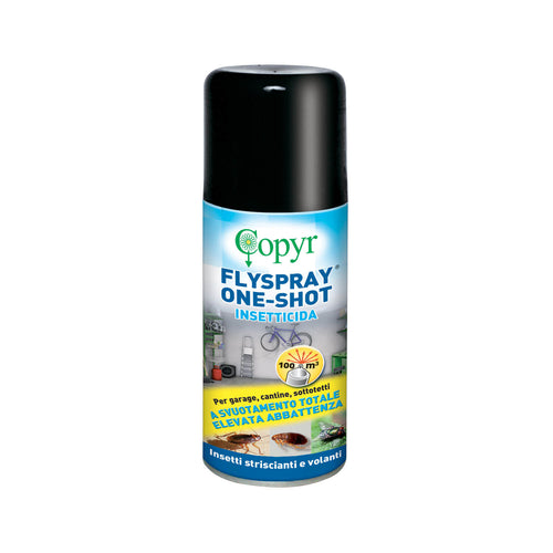 Insetticida per blatte, formiche e zanzare Copyr Flyspray One Shot 150 ml