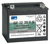 Batteria a gel 12 V 25 Ah per swingo 150/350/455/755 Diversey TASKI 2 pezzi