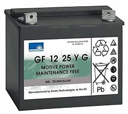 Batteria a gel 12 V 25 Ah per swingo 150/350/455/755 Diversey TASKI 2 pezzi