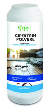 Insektizid gegen kriechende Insekten und Wespen Copyr Cipertrin Pulver 1 kg