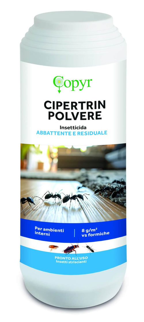 Insetticida per insetti striscianti e vespe Copyr Cipertrin Polvere 1 kg