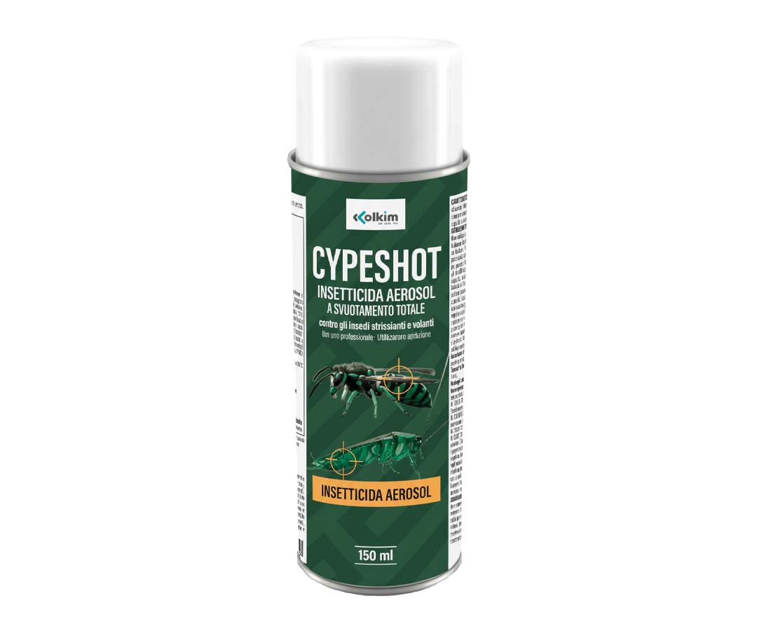 Insetticida aerosol per zanzare, mosche, vespe e blatte Colkim Cypeshot 150 ml