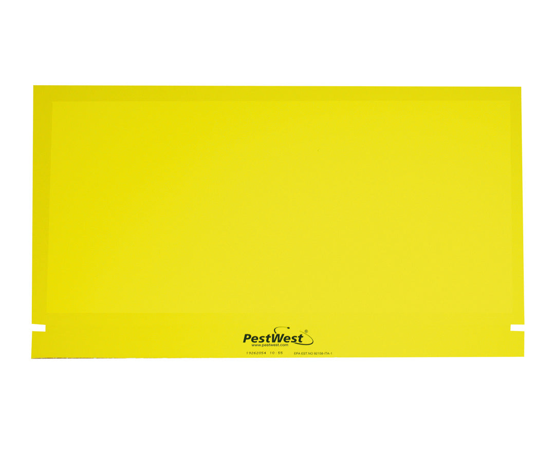 Piastre collanti Pestwest per lampada UV Fly Detect 6 pezzi