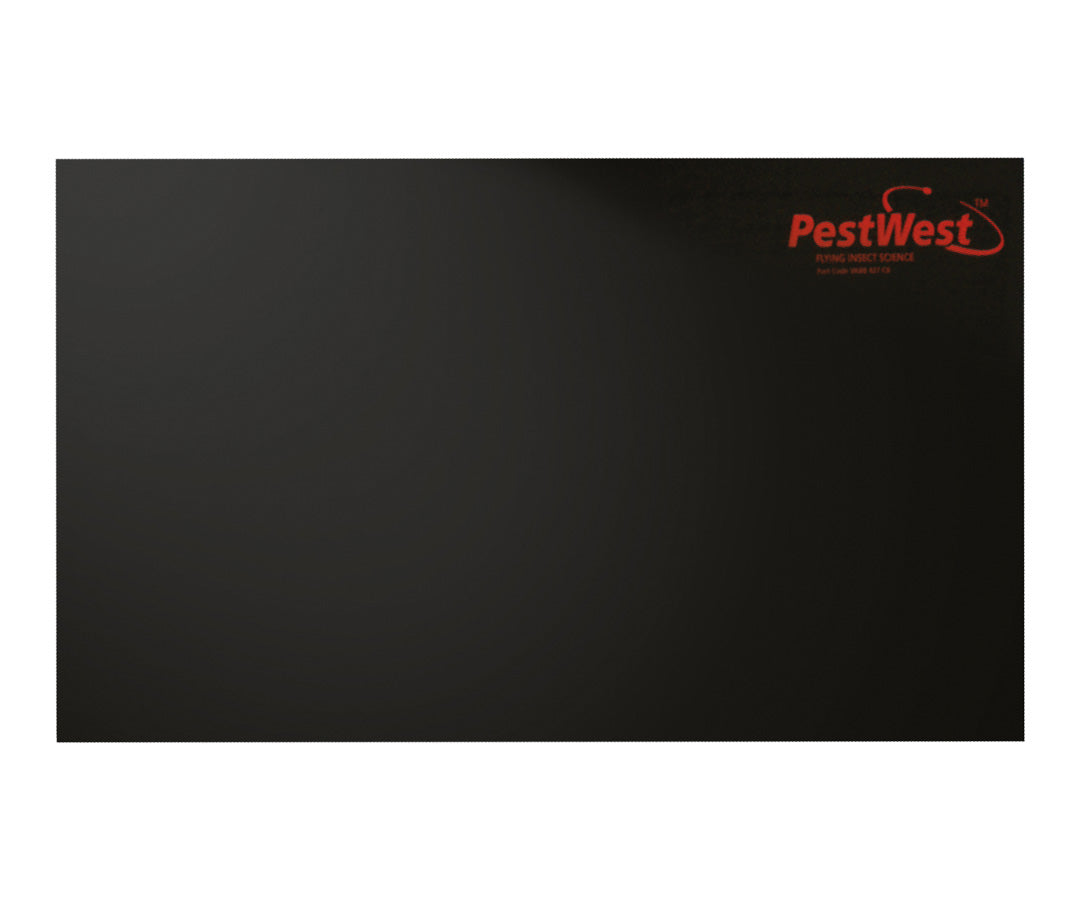 Piastre collanti Pestwest in cartone nere per lampade UV 6 pezzi