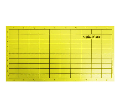 Piastre collanti Pestwest gialle per lampade UV LED 6 pezzi