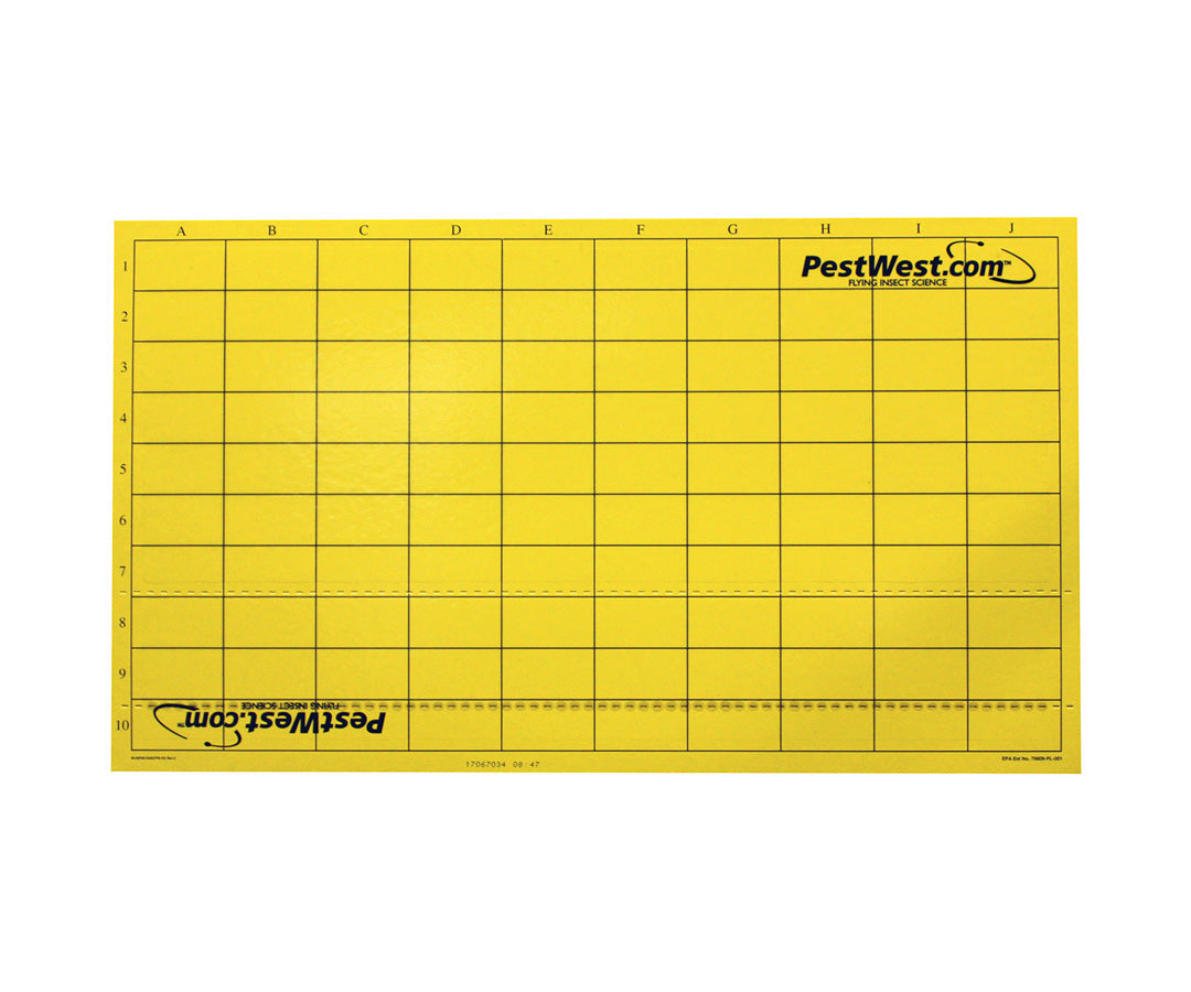 Piastre collanti Pestwest in cartone gialle con griglia per lampade UV 6 pezzi