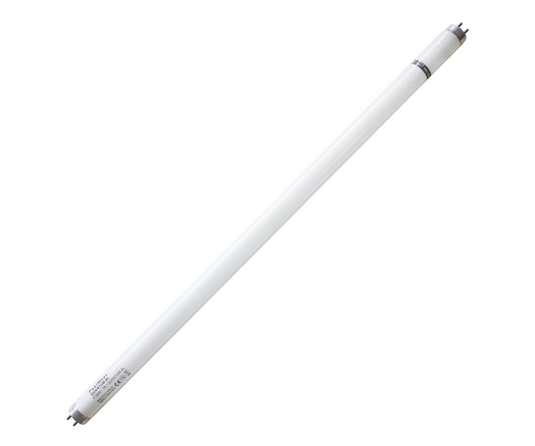 Tubo neon di ricambio Pestwest Quantum 18W shatterproof (infrangibile) per lampada UV
