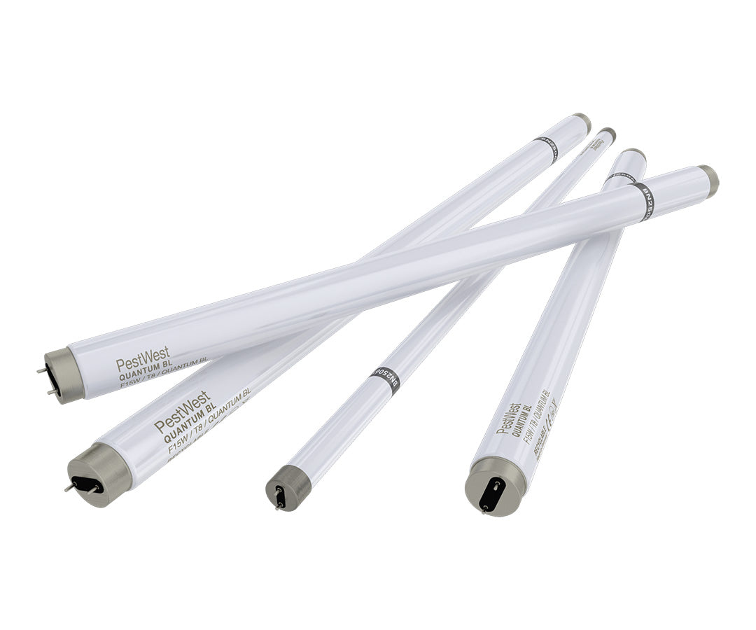 Tubo neon di ricambio Pestwest Quantum 25W shatterproof (infrangibile) per lampada UV