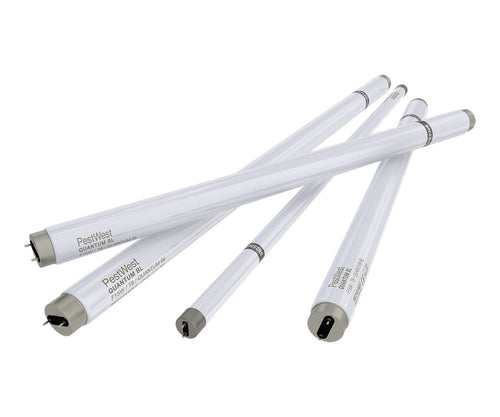 Tubo neon di ricambio Pestwest Quantum 25W shatterproof (infrangibile) per lampada UV