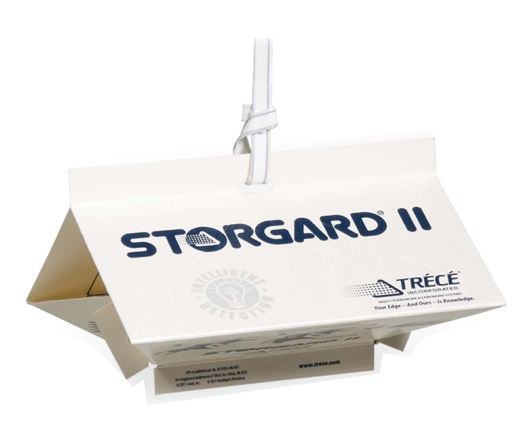 Feromone di ricambio per tignola delle derrate GM Storgard II 1 pezzo