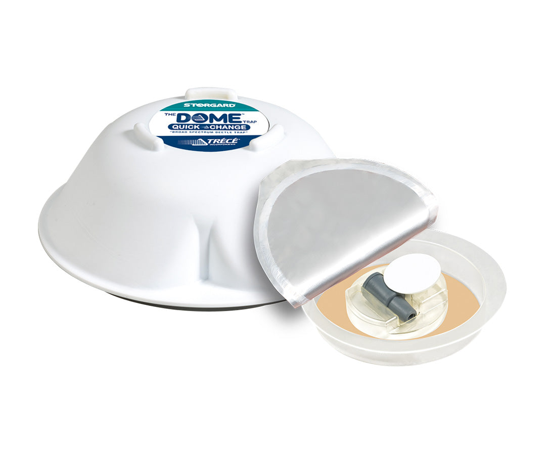 Trappole a feromoni per Trogoderma Dome Trap Quick Change KB/WB kit 6 pezzi