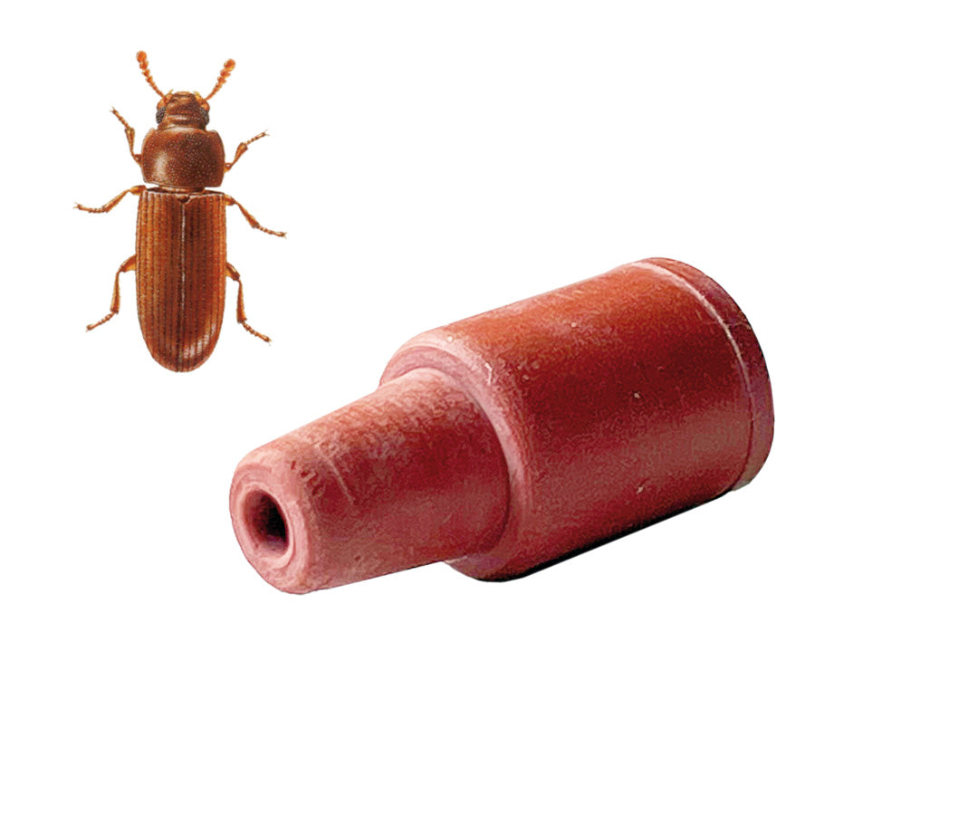 Feromone di ricambio per Tribolium CFB/RFB 1 pezzo