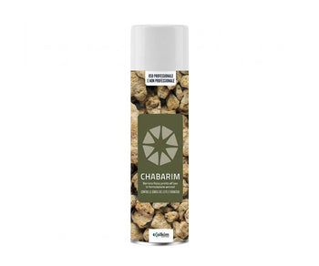 Insetticida aerosol per cimici dei letti e formiche Colkim Chabarim Spray 500 ml