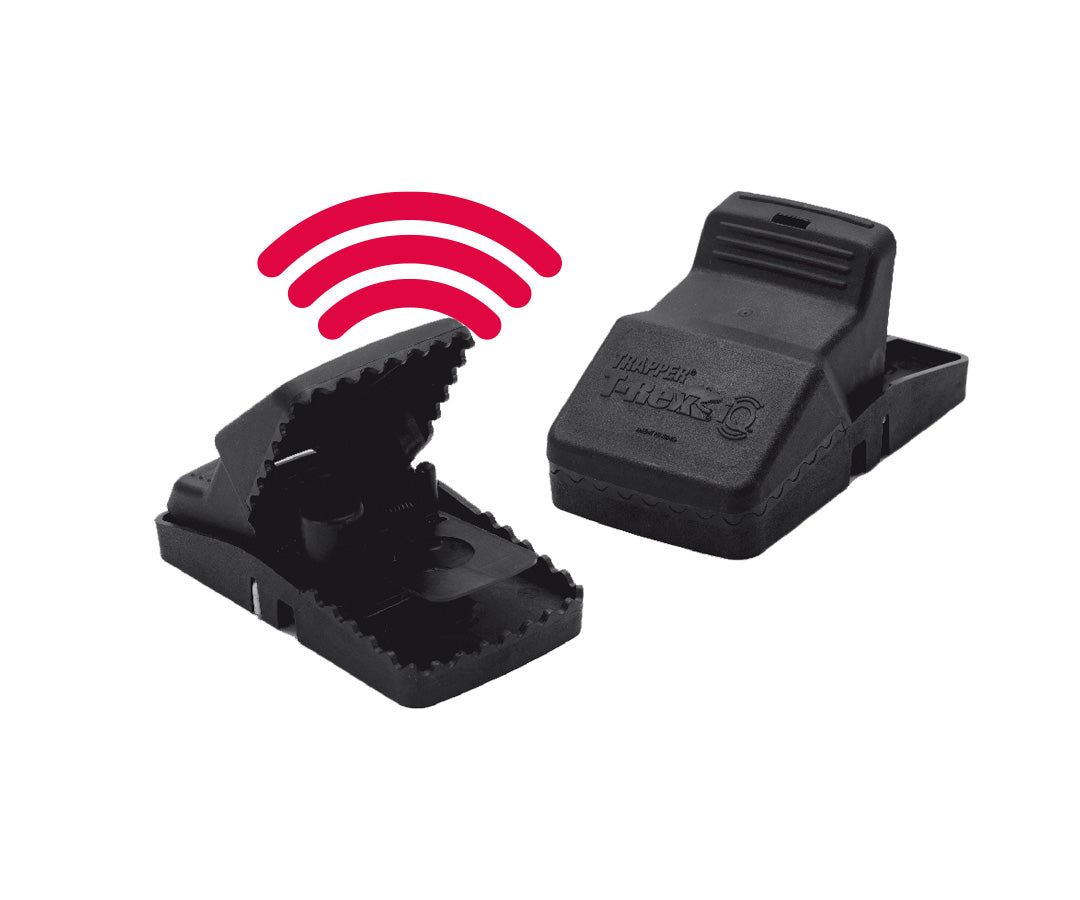 Trappola a scatto elettronica connessa per topi e ratti Trapper T-Rex iQ