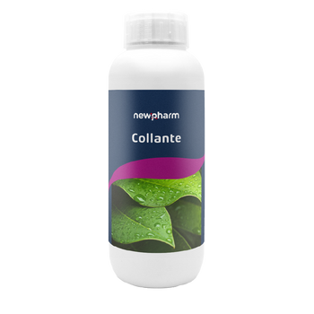 Collante per trattamenti fogliari Newpharm Collante 1 kg