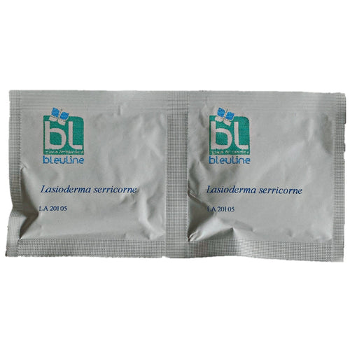 Feromone per tarlo del tabacco (Lasioderma serricorne) Bleu Line Feromone Tarlo del Tabacco