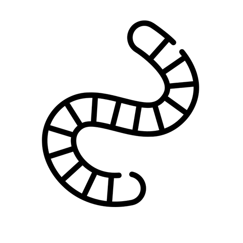 Castling insects
