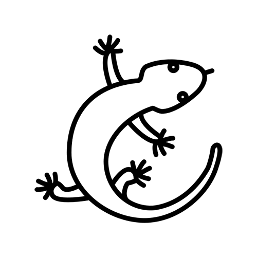 Reptiles