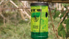 Trappola ecologica per vespe Natural Control