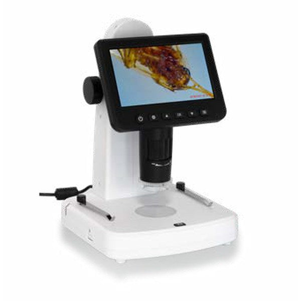 Microscopio digitale per identificazione di insetti Orma Microscopio