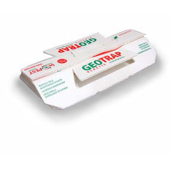 Trappola collante per monitoraggio di insetti striscianti Orma Geotrap in plastica
