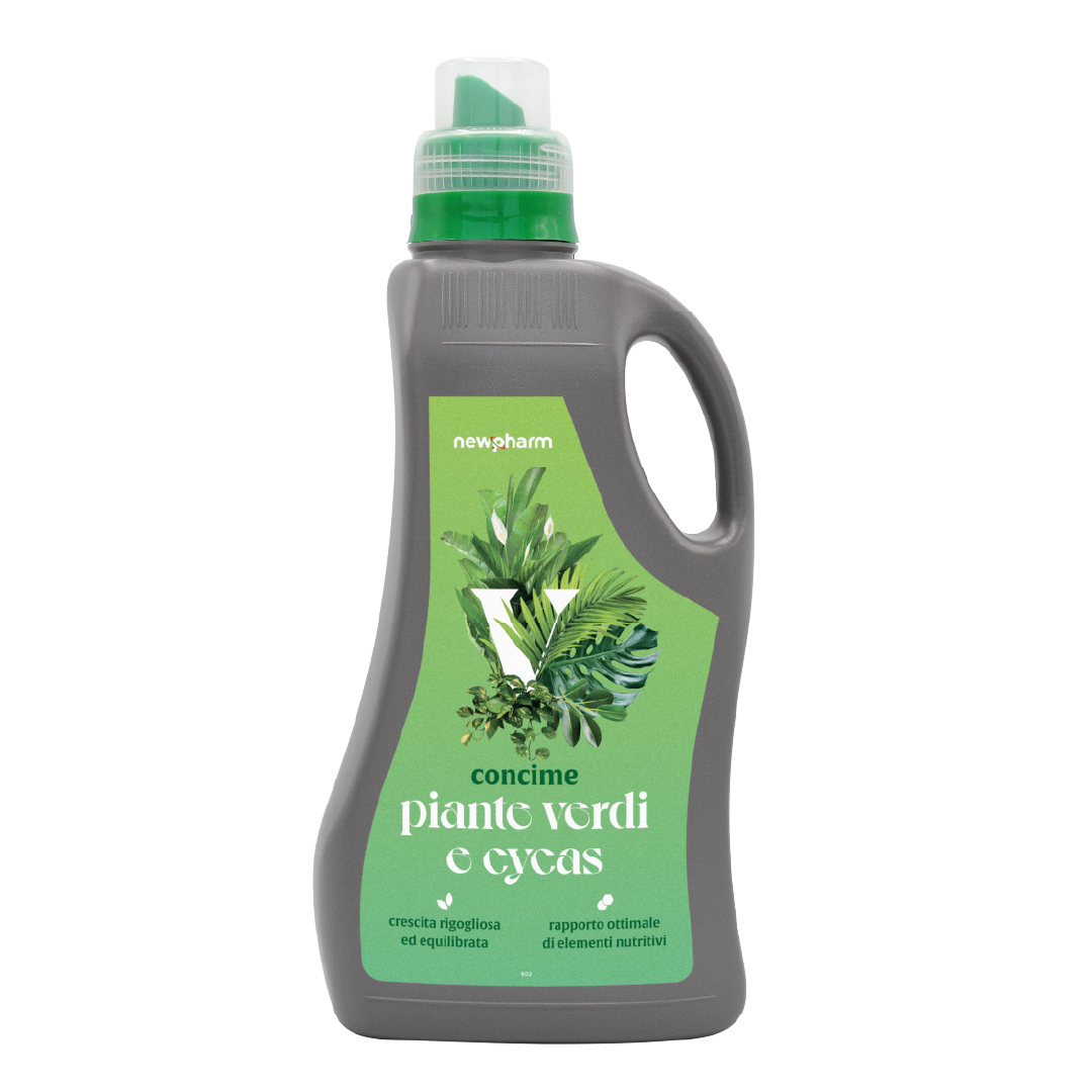 Concime liquido per piante verdi e cycas Newpharm Compi Piante Verdi e Cycas 1 kg