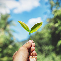 Sustainable products