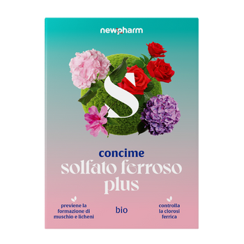 Concime con ferro, magnesio e manganese Newpharm Solfato Ferroso Plus 1 kg