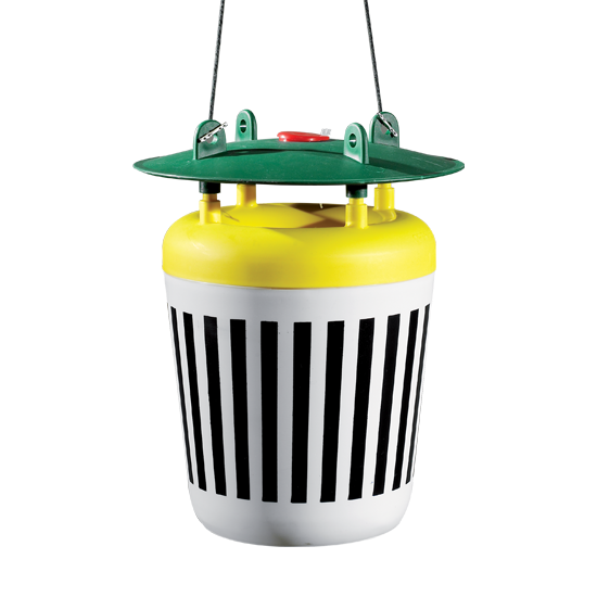 Kit trappola per lepidotteri con 4 feromoni Bleu Line Black Stripe