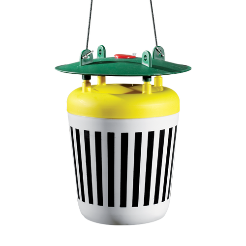 Kit trappola per lepidotteri con 4 feromoni Bleu Line Black Stripe