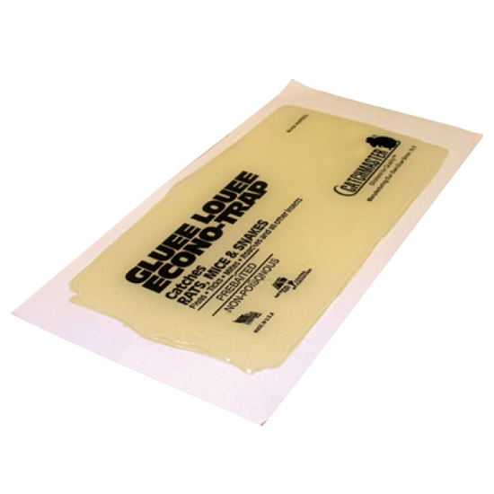 Trappola collante per ratti Bleu Line Catch Master 60 RBGL