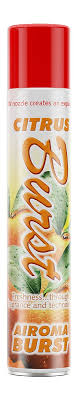 Alleoma Burst Duft Citrus 750 ml