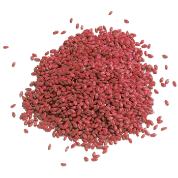Esca rodenticida in grano per topi e ratti Bleu Line Bromobleu Grano 10 kg