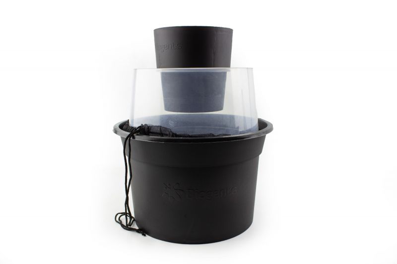 Collante bifacciale per trappola per zanzare BG Gravis Aed Trap 12 pz