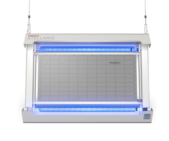 Lâmpada de inseticida UV Captura de insetos Chameleon Starris